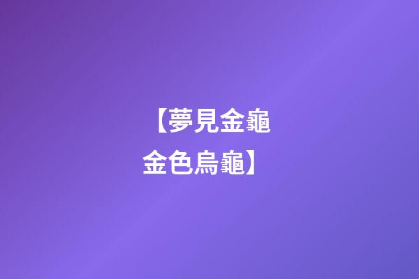 【夢見金龜 金色烏龜】